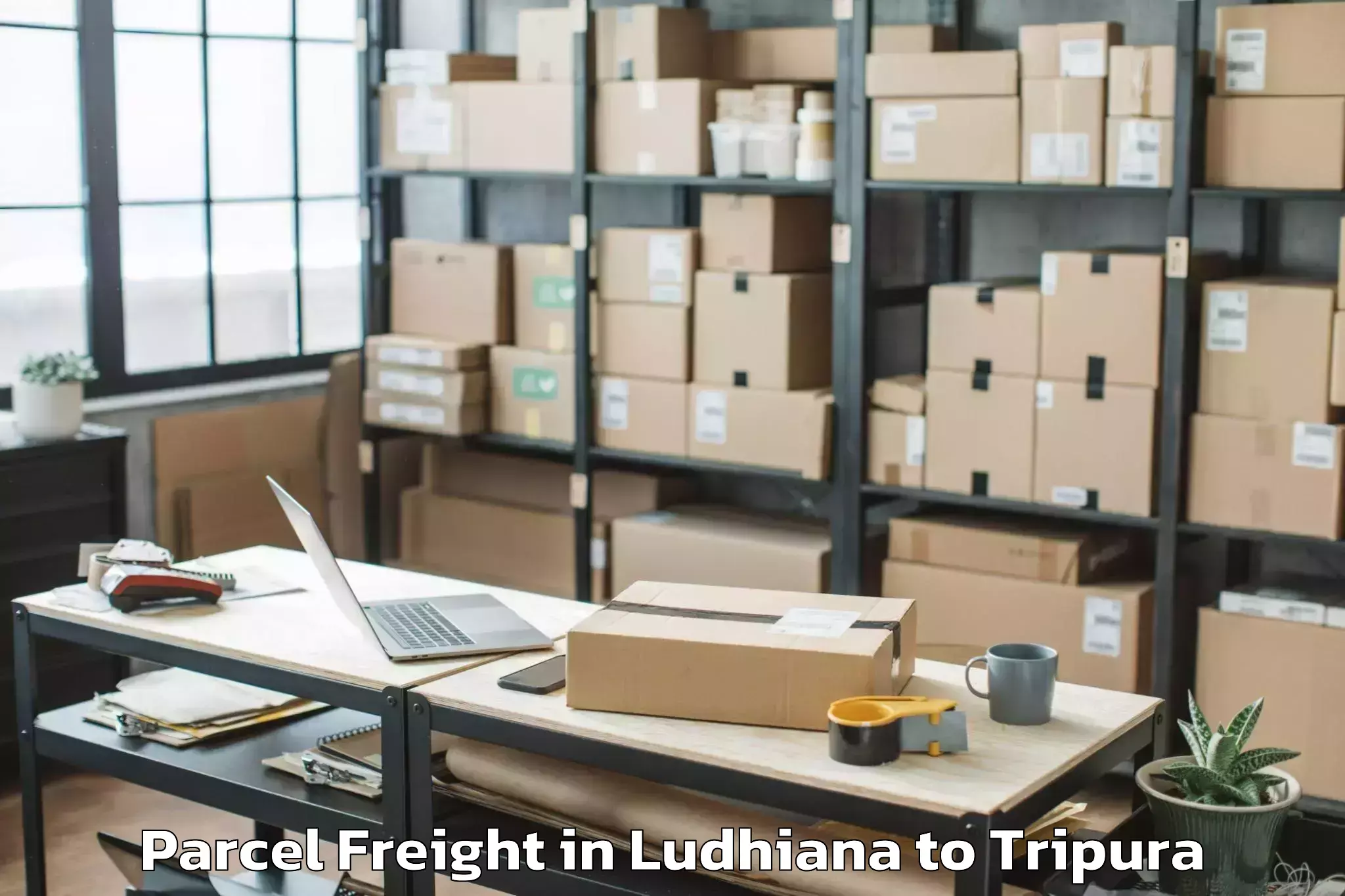 Easy Ludhiana to Ambassa Parcel Freight Booking